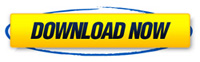 Download Blog Vs Website WordPress Guide ...