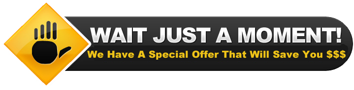 WordPress Training Guides - Special Offer