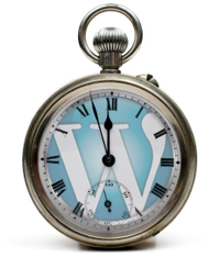 Save Time And Money With The WordPress Training Guides!